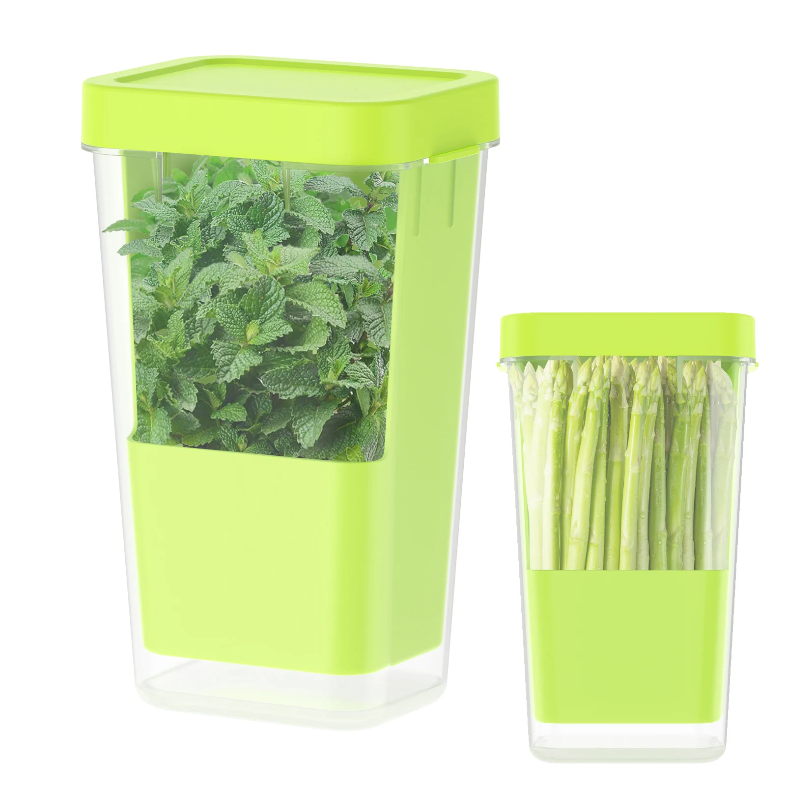 Fresh Herb Keeper for Refrigerator Clear Herb Storage Container for Cilantro, Parsley, Mint & Asparagus Preserver Vegetables