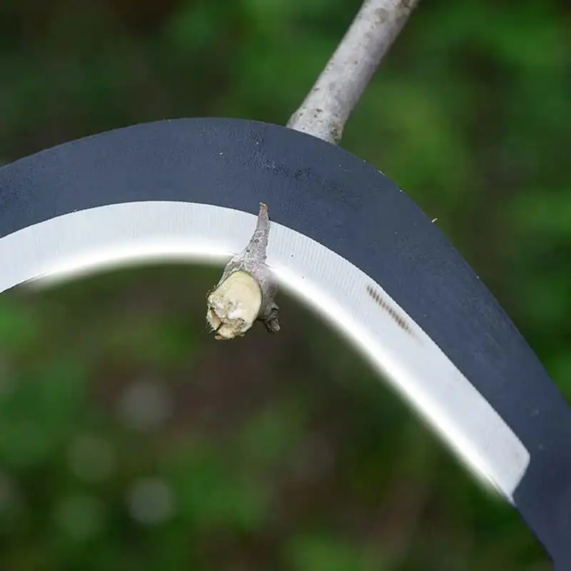 Slide image a22ff5646e2f4e249e4547a6aeb5f9f1