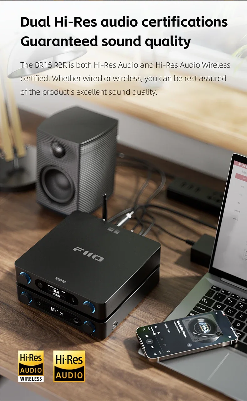 FiiO BR15 R2R Design Details