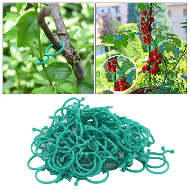 100 Növényi Klip, Szőlőüzem A Paradicsom, Uborka, Paprika, Dinnye, Növények És Virágok Támogatására - Image 2