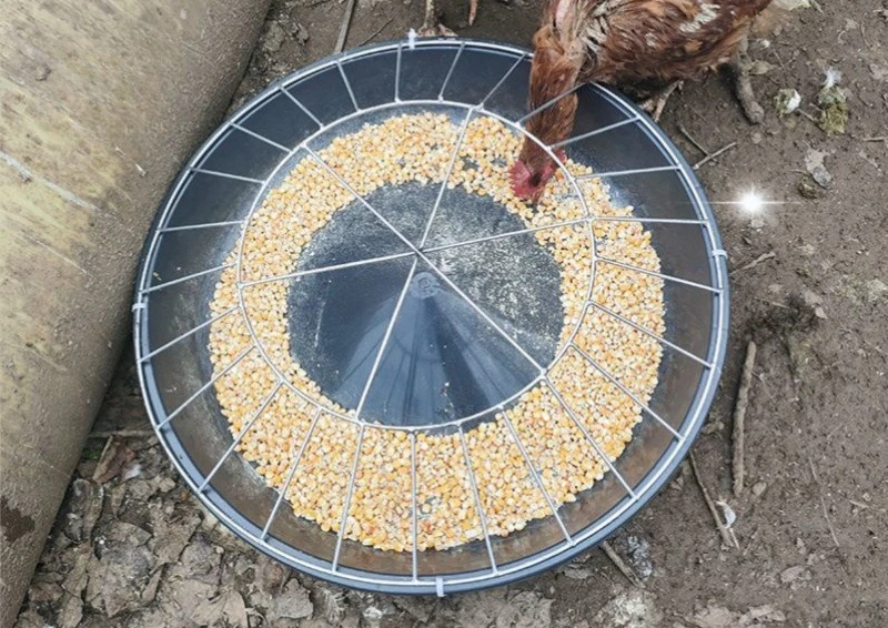 Unspillable Automatic Chicken Feeder 4