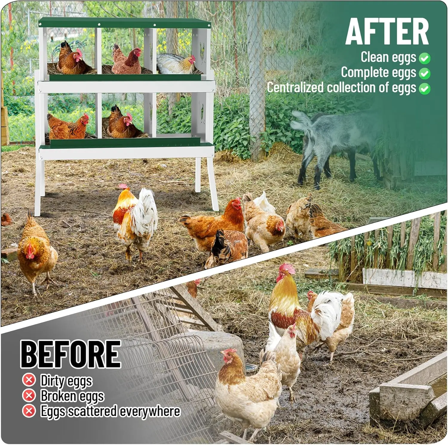 Chicken Nesting Box with Legs 3