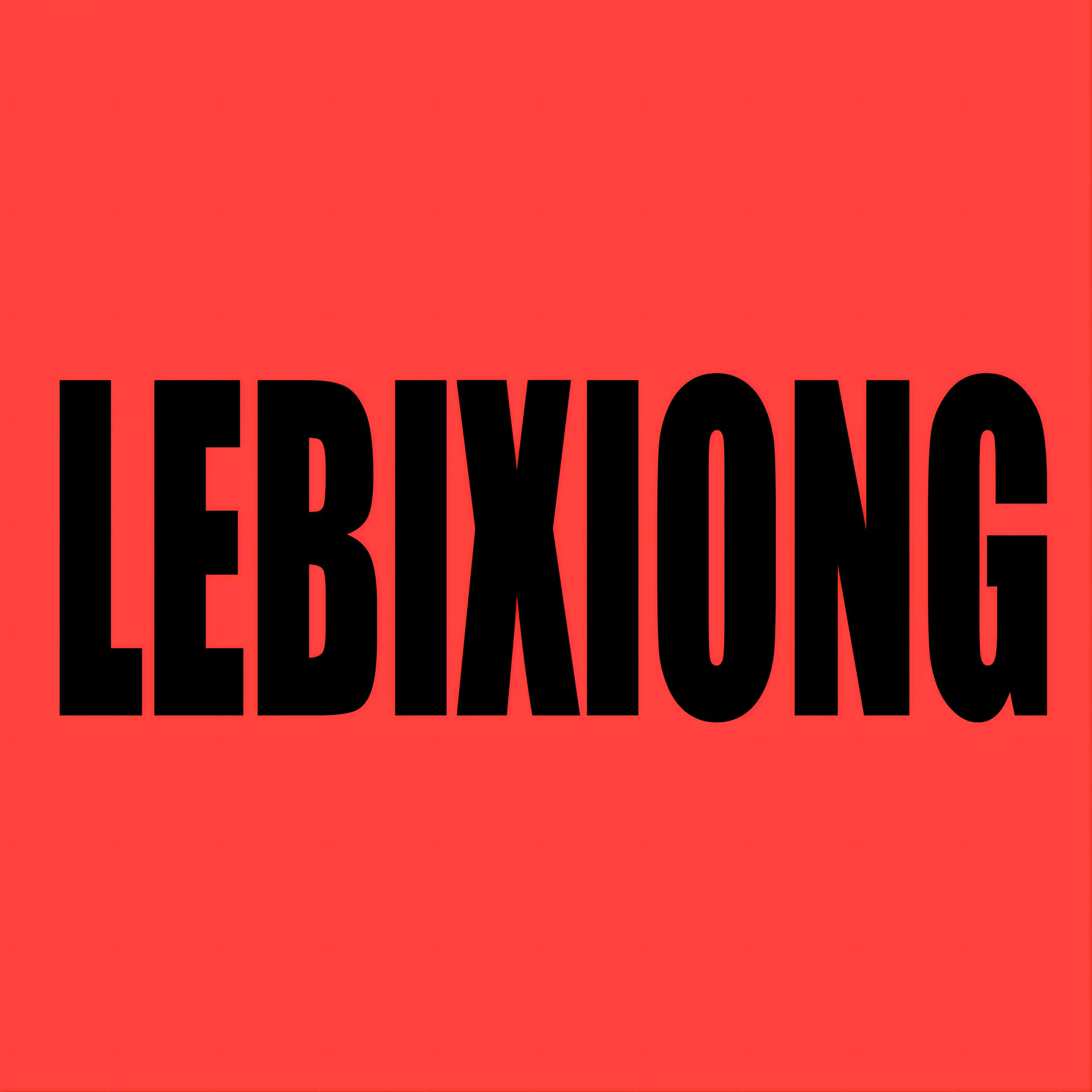 Le Bi Xiong Store