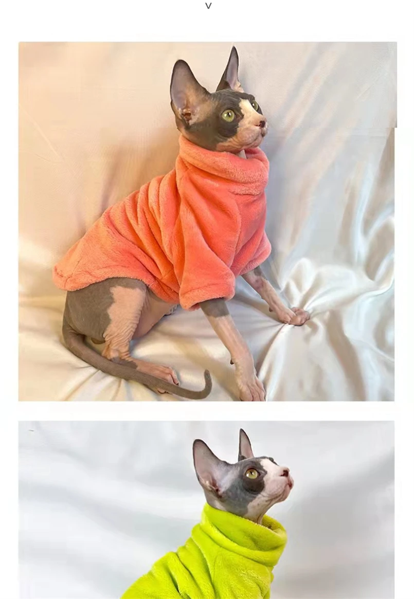 Hairless Cat winter coats