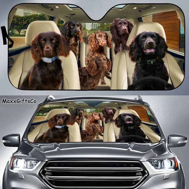 

Boykin Spaniel Car Sun Shade, Boykin Spaniel Windshield, Dogs Family Sunshade, Dog Car Accessories, Car Decoration, Gift For Dad