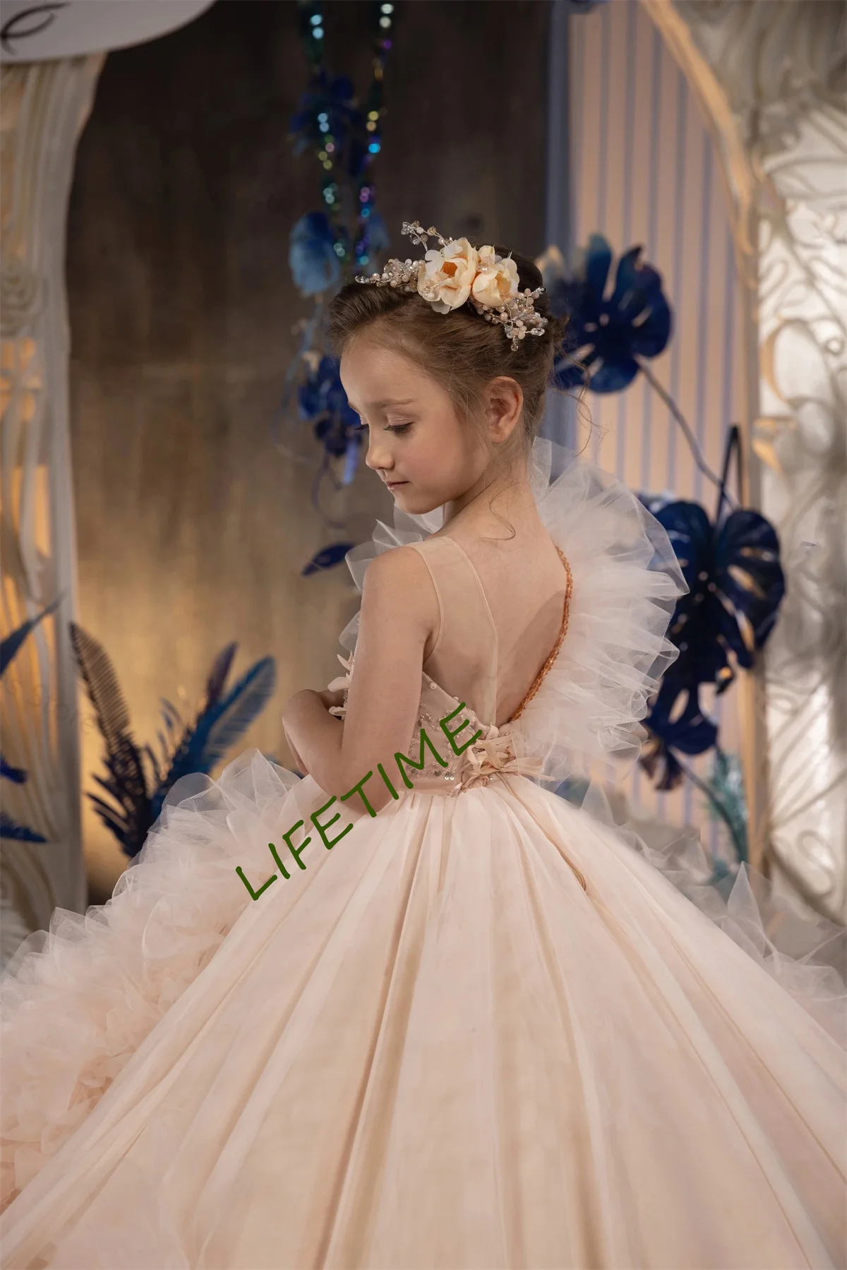  ũ ö  ǽ, ǫ ر ø, Ƽ μҸ,   , Ÿ  ǽ