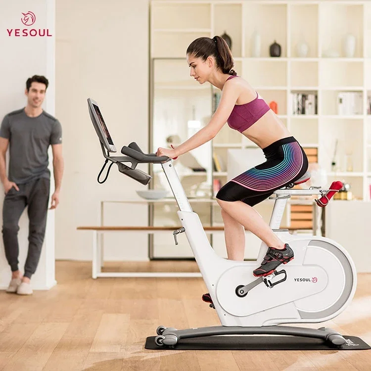 Exercise Bikes,Exercise Bike, Magnetic Stationary Bike With App, Low Noise Indoor Cycling Bike