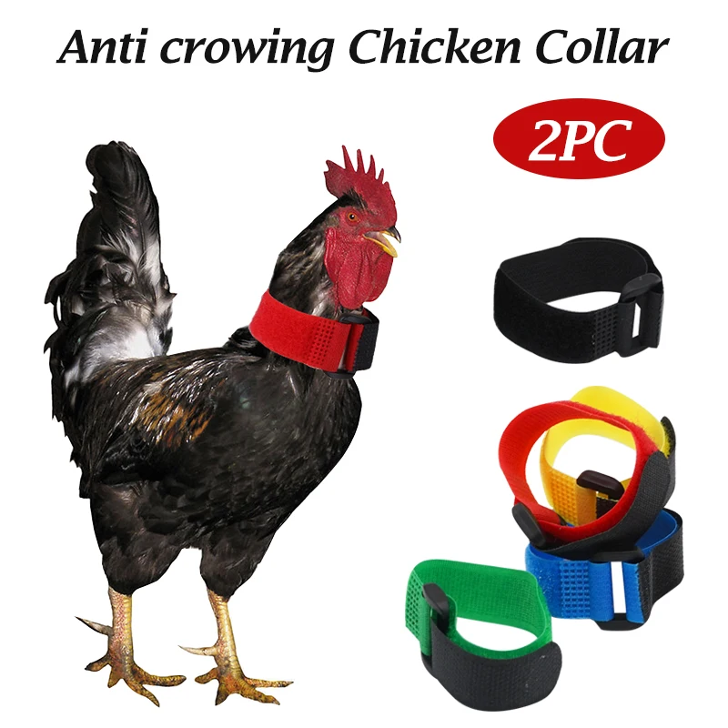2PcsAntiCrowingChickenCollarLightweightChickenNeckband