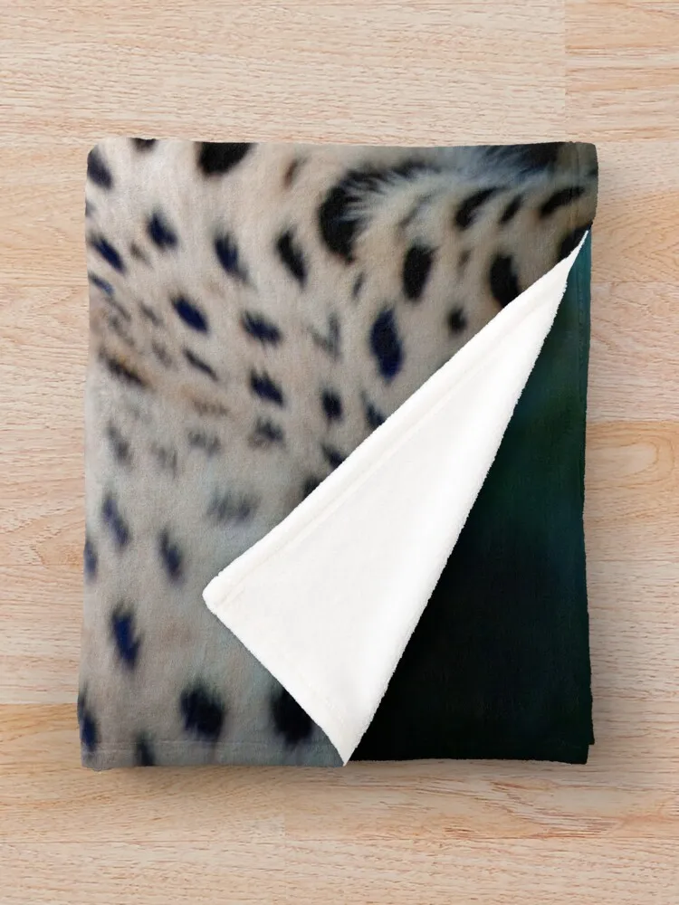 ġŸ ������ ���, ������ ����, ���� ���