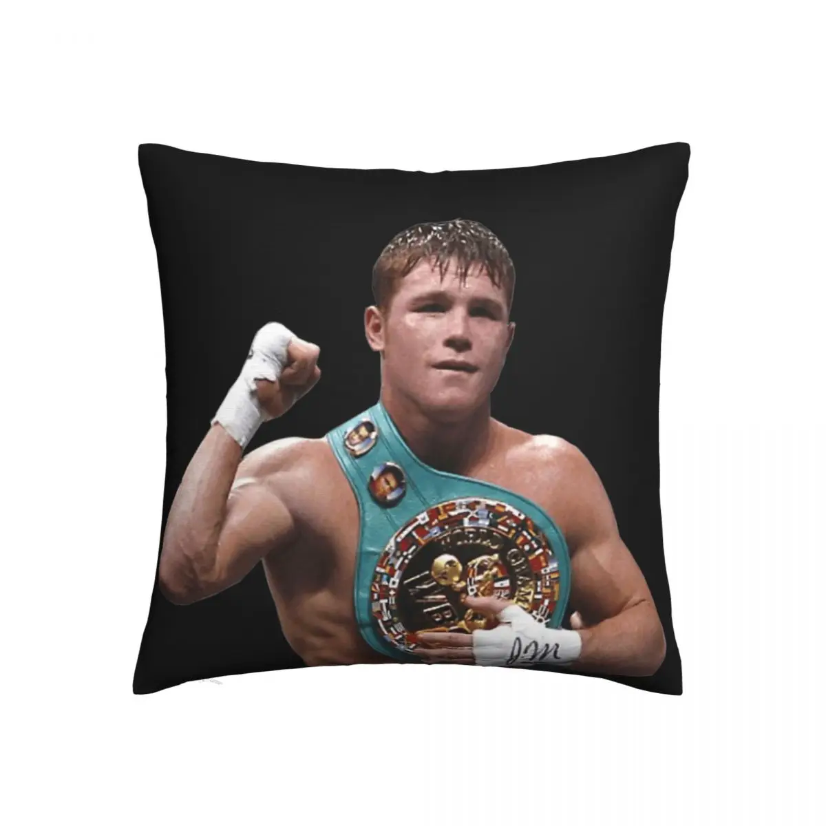 

Square Pillow Saul Canelos Alvarez Boxing Classic Graphic R257 Weeping Willow Square Pillow Print Humor Graphic Rest
