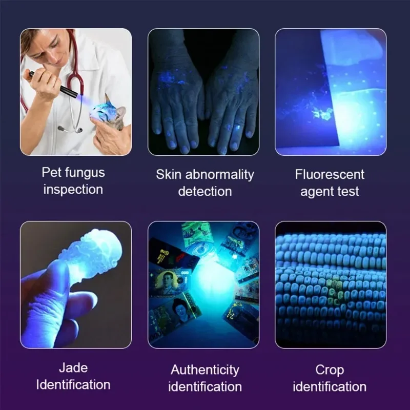 Rechargeable 5W UV Flashlight with Zoom - Black Light for Resin Curing and Pet Urine Detection