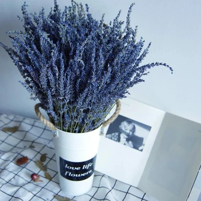 Wedding Decor Full of Vitality Home Fragrance Dried Lavender Decor Plants  Decor