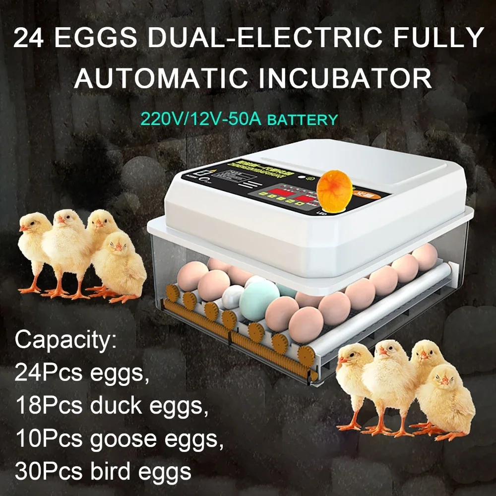 

24 Eggs Drawer Type Incubator 220V 12V With Automatic Water Replenishment And Temperature Control For Chicken Duck Goose Pigeon