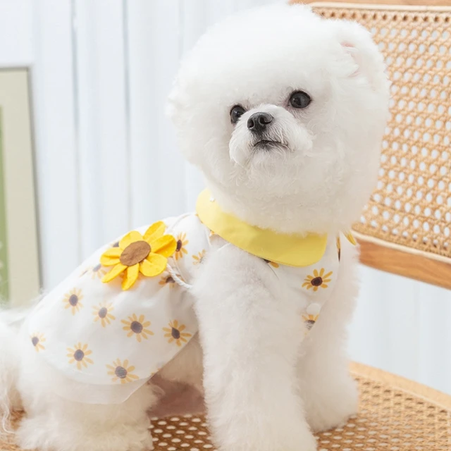 Princess Dress Cute Pet 4