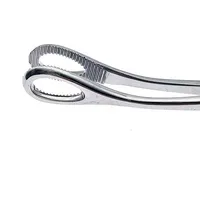 Stainless Steel Veterinary Sponge Forceps (Straight/Curved) 3