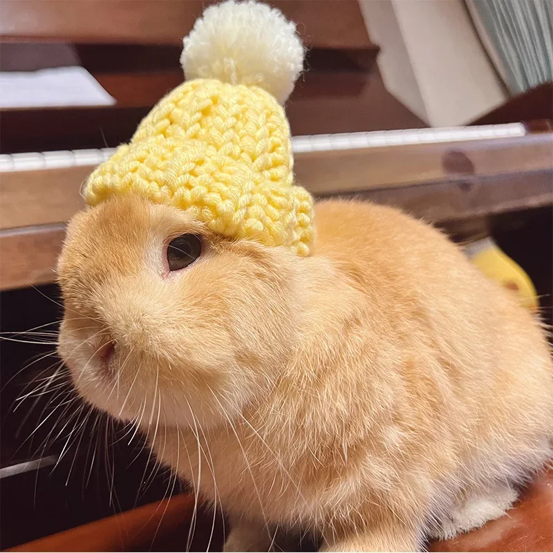 Rabbit Knitted Hat for Pet Rabbit Decorative Bunny Scarf Collar Small Animal Clothes Hat Guinea Pig Stuff Pet Accessories
