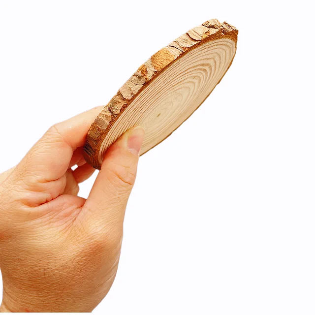 Natural Pine Wood Slices 4
