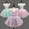Children's Ballet Skirt, Girls' Dance Skirt, Sequin Dress, Children's Dance Skirt, Collective Program Performance Clothing 1