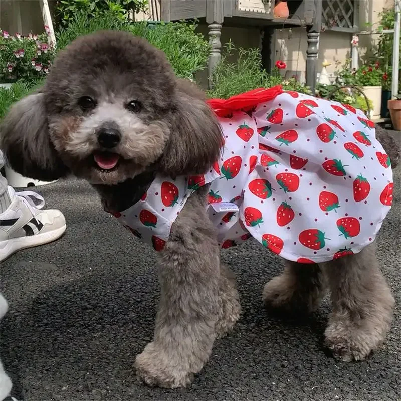 Teddy Cute Dog Skirt Summer Flower Princess Dress Kitty Thin Pet Accessories Pet Supplies Small Dog New Pet Clothes