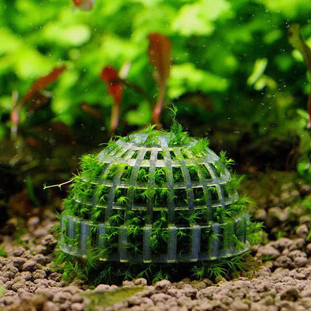 Aquatic Pet Supplies Decorations Aquarium Moss Ball Live Plants