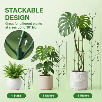 Supporti per Piante Monstera, 5 Telai di Supporto e 1 Rotolo di Velcro
