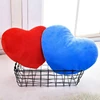 Cushion Toy Throw Pillows for Floor Bay Window Bookstore Library Pet Cafe 4