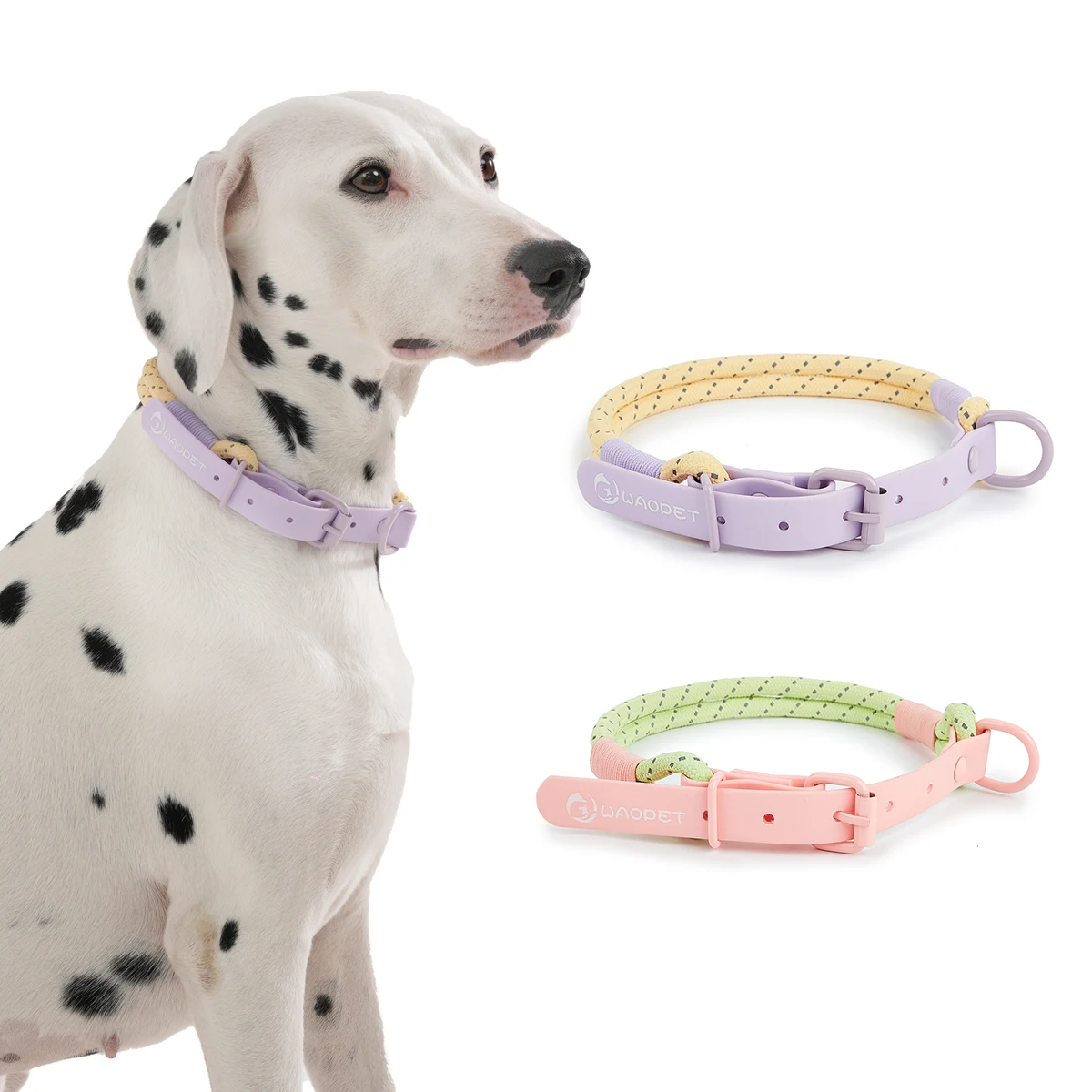 Pet Supplies Dog Collar For Small and Medium Dog Walking Sugar Color Series Cute style PVC Webbing Collar Leashes Set