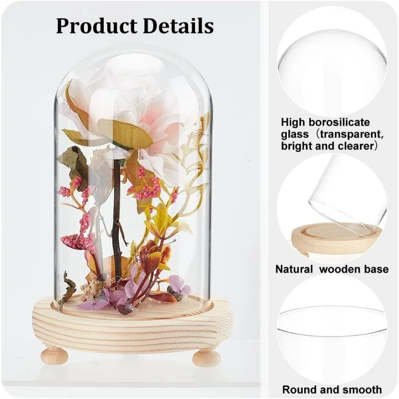 Glass Dome with Base Glass Cloche Bell Jar 1pcs Display Plants Rose Flower Display Clay Succulents Storage Home Christmas Party