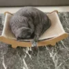 CatsMeaw™ Cat Scratching Board 3