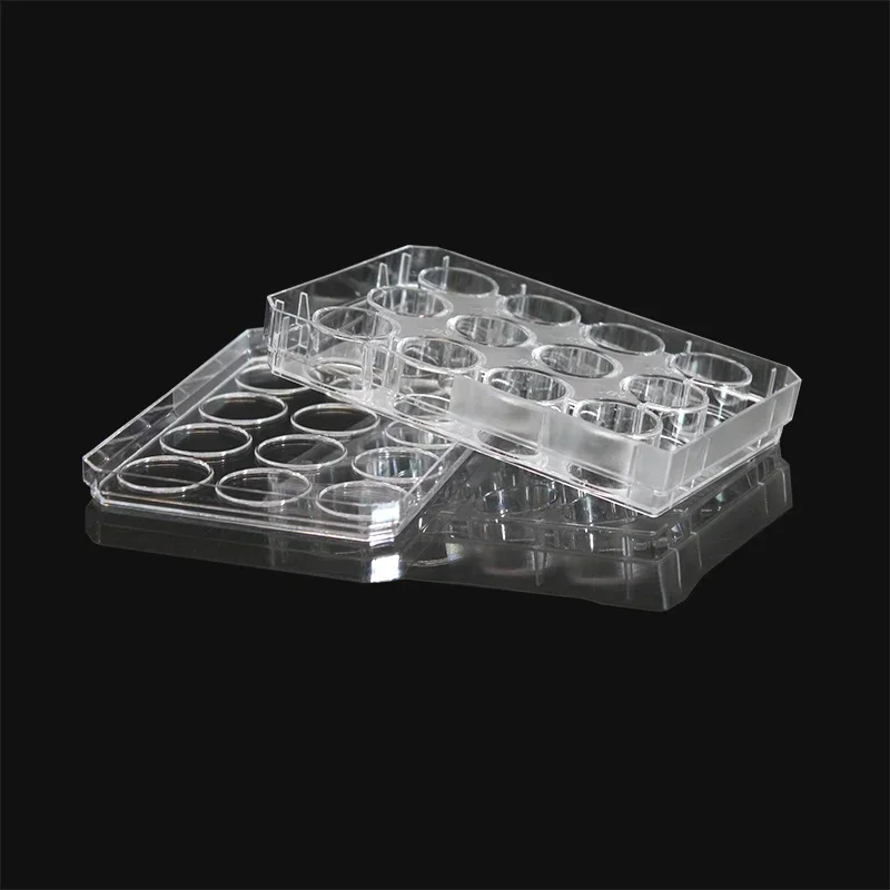 Thermo NUNC Cell Culture Plate 6/12/24 Holes Disposable Cell Culture Plates Flat Bottom Sterile Bacterial Treated Plate