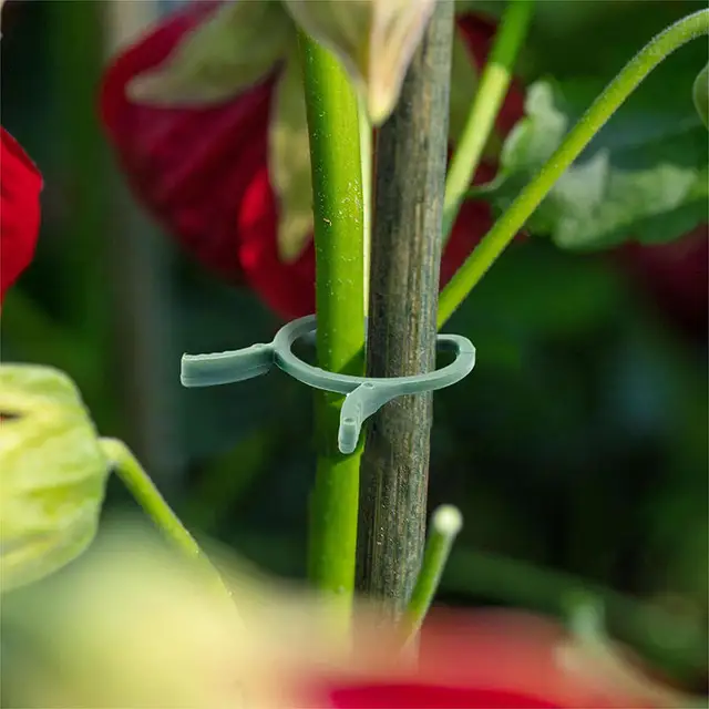 100/200pcs Plant Clips, 3 Size Clips For Attaching Plants, Garden Clips, Plant Support Clips, Climbing Plant Clips, Plant Clips 6