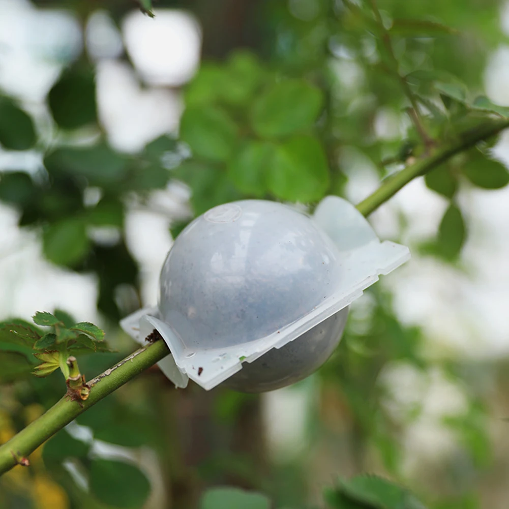 Plant Rooting Ball Incubator High Pressure Incubator Grafted Tree Rooting Seedling Cultivation
