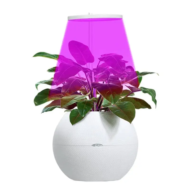 

Plant Grow Light Full Spectrum Lamp For Plants Brightness Adjustable Plant Light Round LED Grow Light For Roses Mini Bonsai