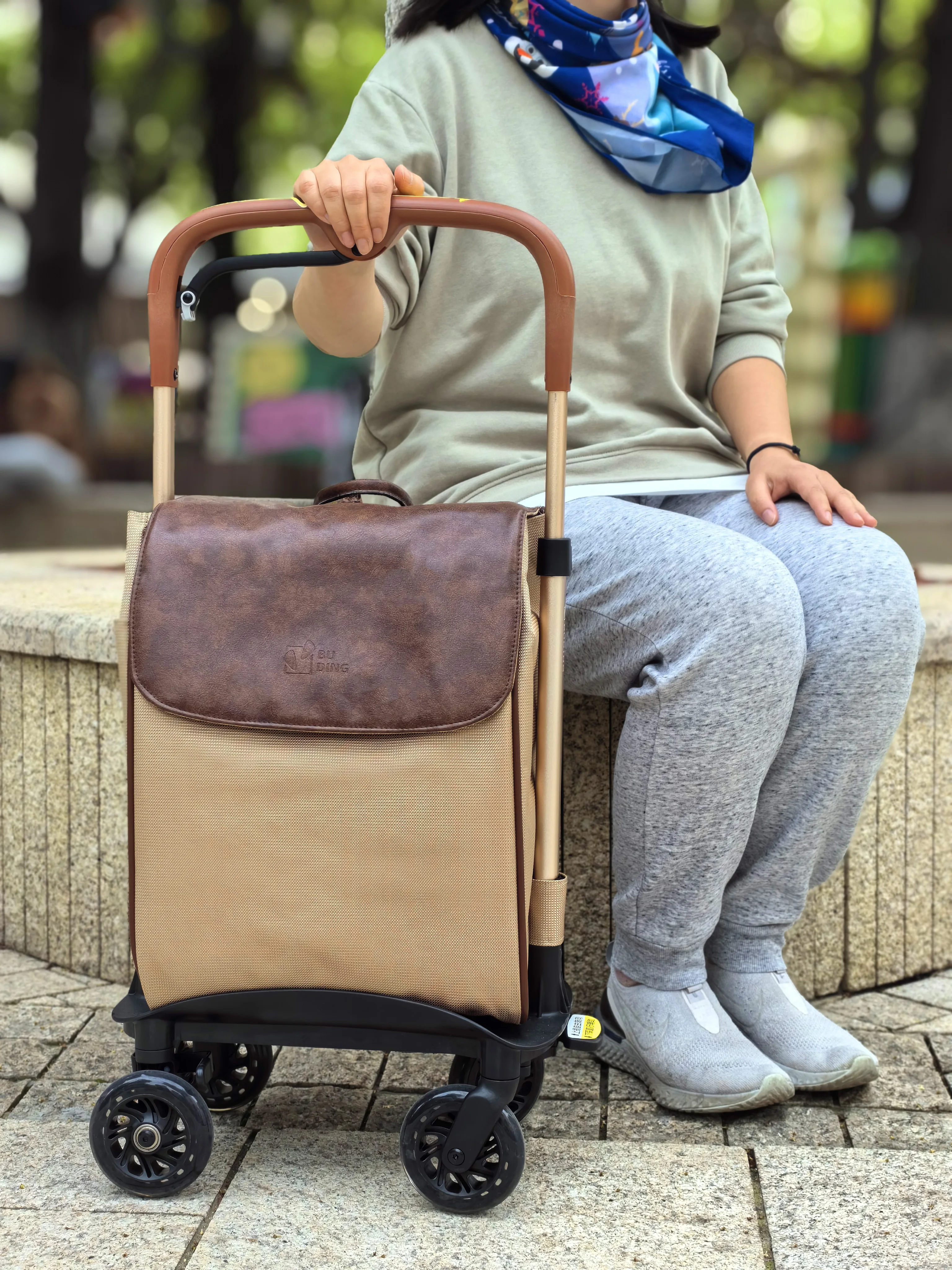 Elderly shopping trolley walking travel tie rod telescopic portable brake walking handrail