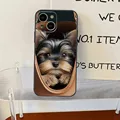 Z4