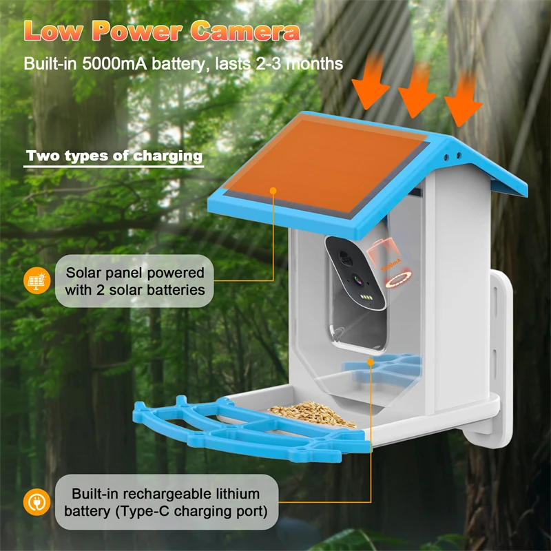 Bird Feeder Bird Smart Feeder with Camera 1080P Solar Low Power Night Vision IP66 Waterproof 4G or WIFI Connect
