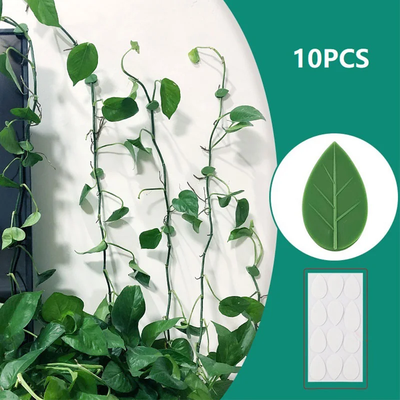 10pcs Plant Fixture Clip Plant Climbing Wall Self-Adhesive Fastener Tied Fixture For Outdoor Indoor Plants Medium-size Plants
