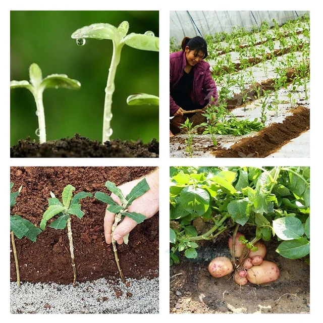 Gyökér Folyékony Növény Gyors Gyökérzetű Virág Növényi Erős Palánták Hormonszabályozó Virágátültetés Műtrágya - Image 6