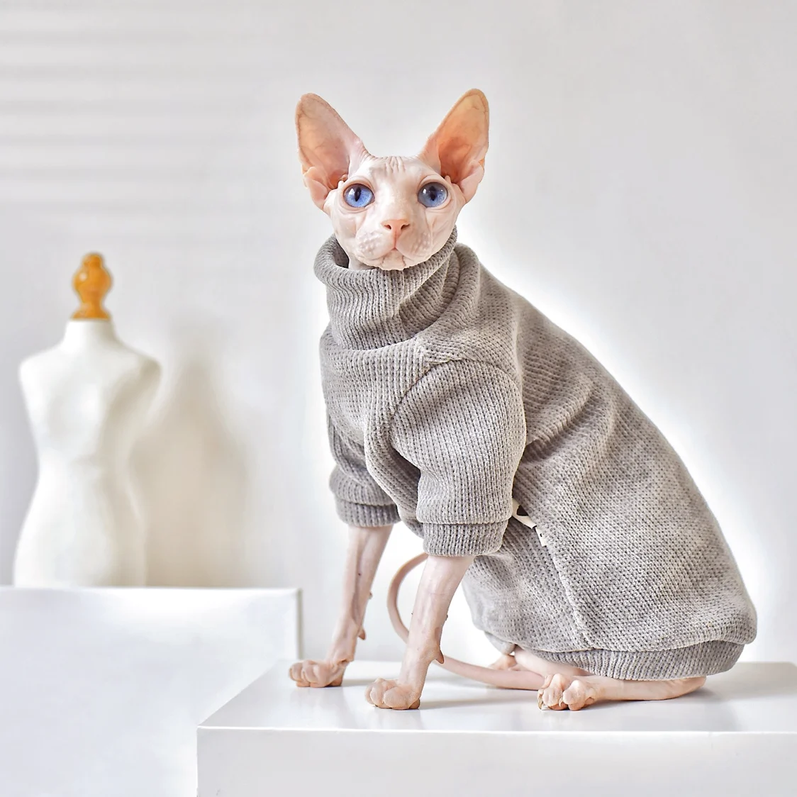 

Plush Turtleneck Sweater for Sphynx Cat Clothes, Hairless Cat Clothes, Thick and Warm, Fleece, Winter