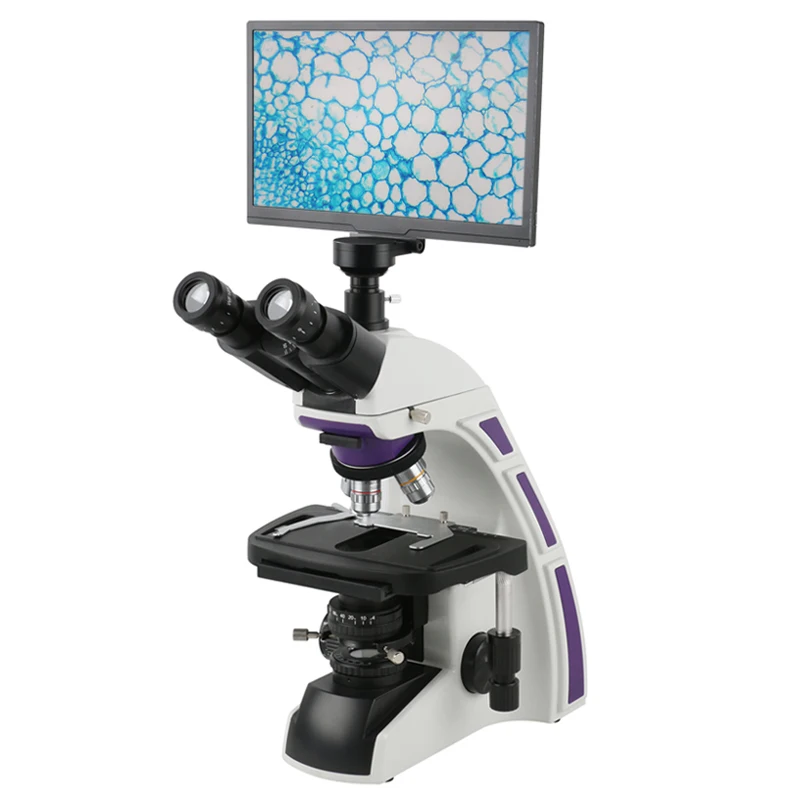 40X 600X 1000X laboratorio professionale ricerca scientifica medica  Microscopio biologico HD 1080P 11.6 telecamera Microscopio LCD opzionale -  AliExpress