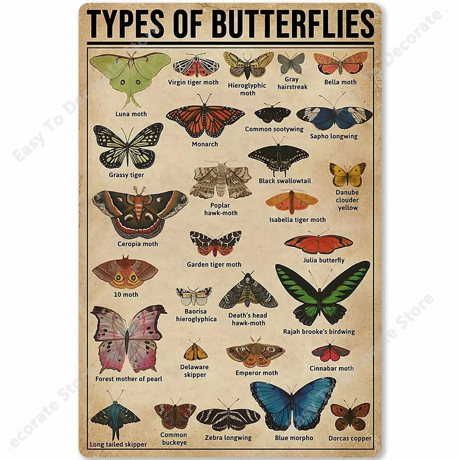 

Types Of Butterflies Metal Signs Butterfly Knowledge Popular Science Guide Room Club Farm Wall Decor 12x18 In