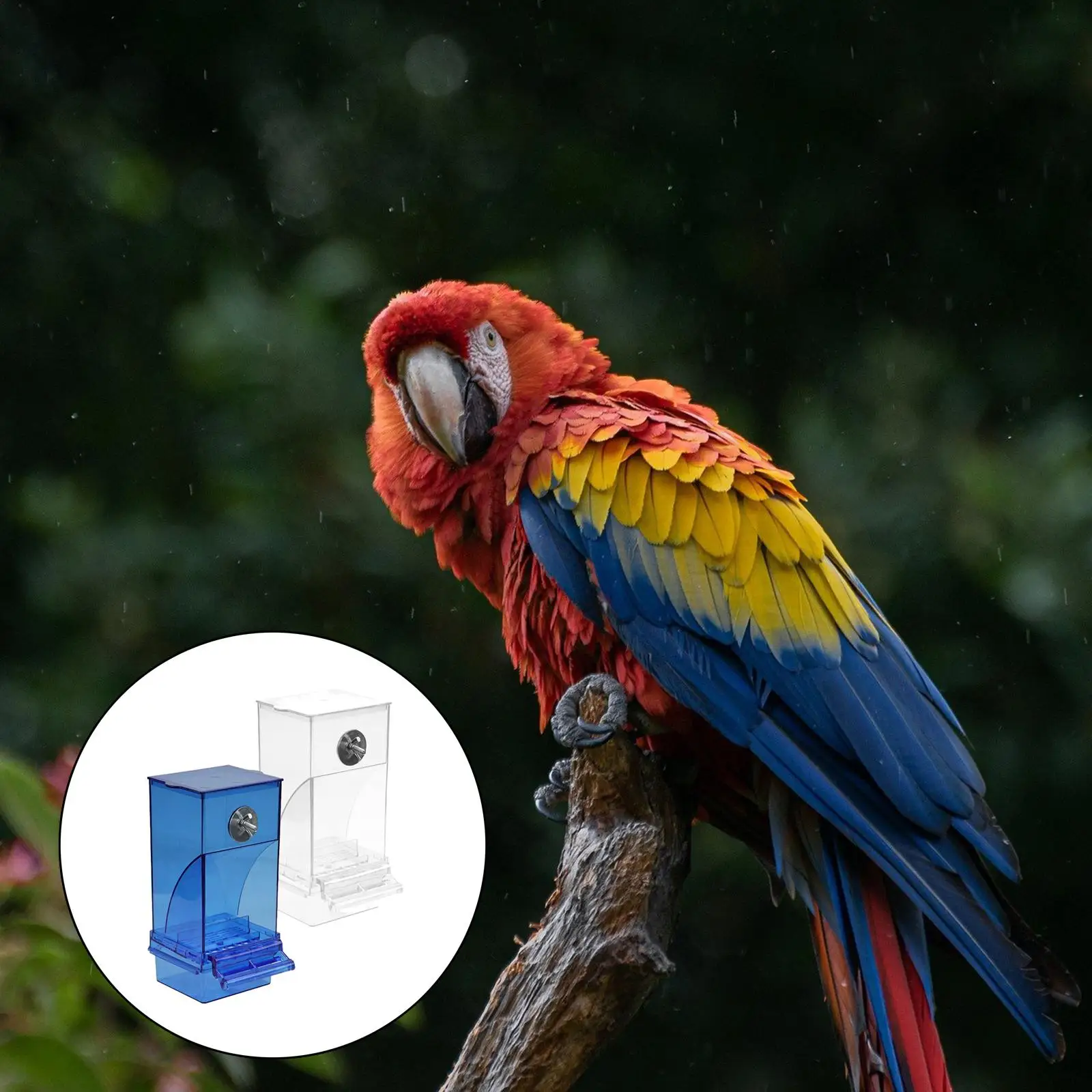 Automatic Bird Feeder No-Mess Bird Feeder Parrot Cage Accessories for Budgerigar Canary Cockatiel Finch Parakeet