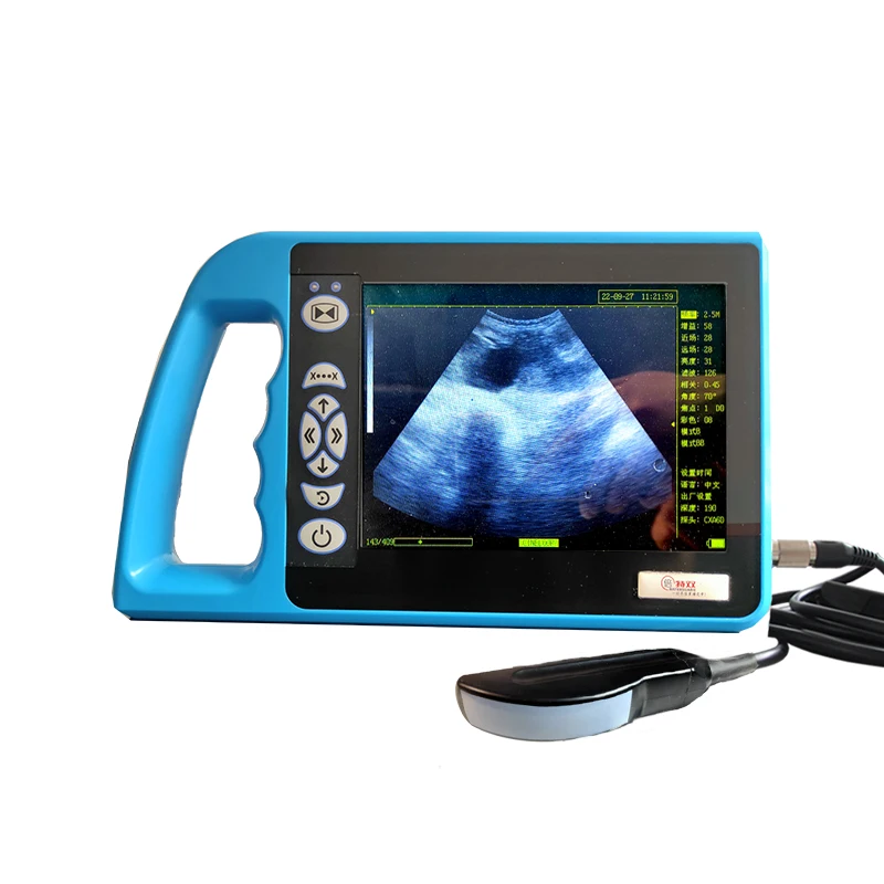 Portable veterinary cattle ultrasound 3.5MHZ convex array probe