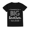 Promoted To Big Brother Est. 2025 Matching Brother Shirts Baby Announcement New Big Bro Gift Matching Sibling Shirts Clothes 4