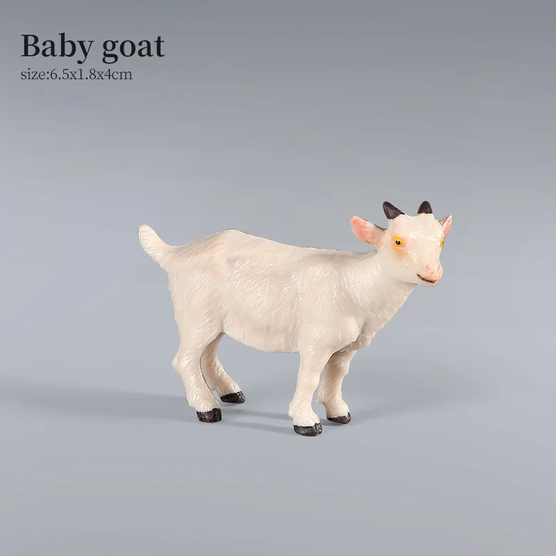 Animal-11