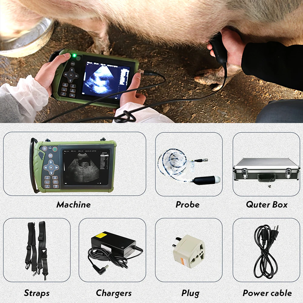 Veterinary Ultrasound Scanner Vet Pregnancy Ultra Machine with 3.5MHz Convex Pro