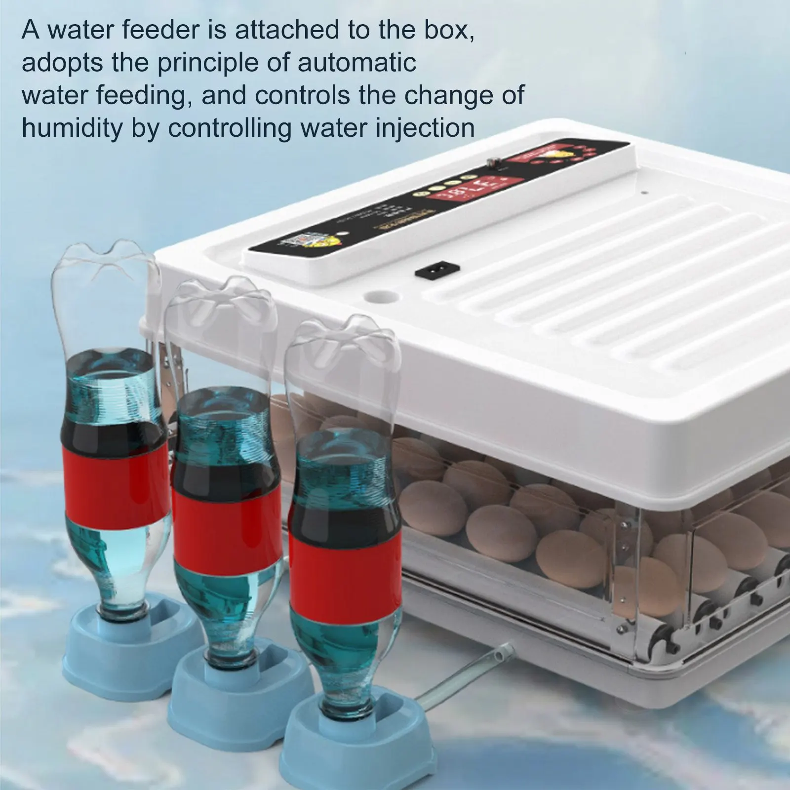 Chicken Egg Incubator Tractor Supply - hum4wts