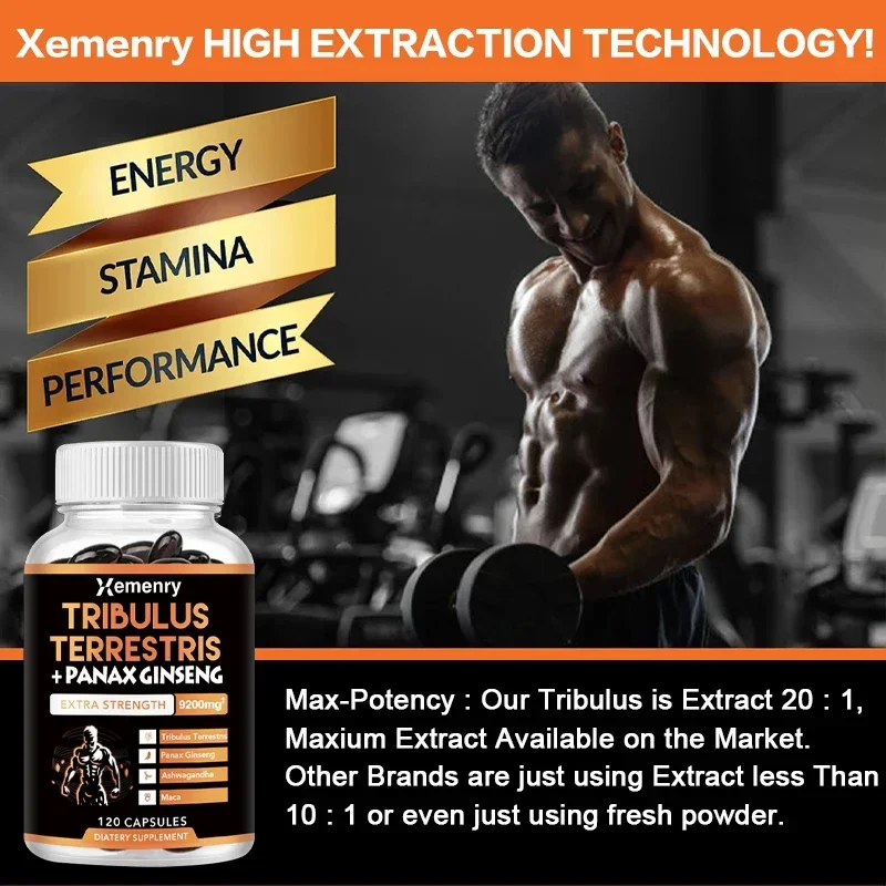 Tribulus Terrestris + Ginseng Supplement Supports Athletic Performance Endurance Peak Energy Muscle Strength & Immune Health ginseng supplement muscle supplement male performance supplement
