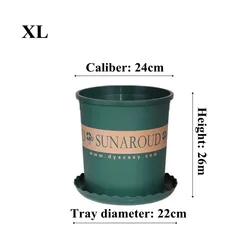 Decorative Artificial Succulent Collection in Stylish Plastic Flower Pots - 5PCS (Green XL)