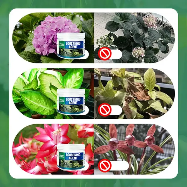 200 G Talaj Aktivátor Aszály-Rezisztens Talajjavítás És A Lazító Szer Szabályozza Sav-Lúgos Vízben Oldódó Műtrágyát - Image 5